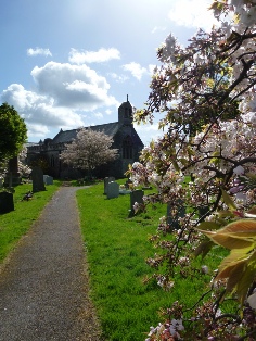 The pathway to St Edward's Church in Chilton Polden. 