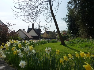 Springtime in the village of Halse.